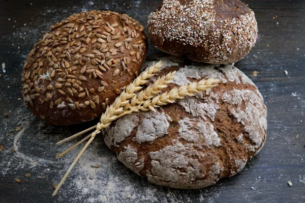 Ростовская область заняла первое место по пшенице в 2022 году и развивает хлебопекарную отрасль