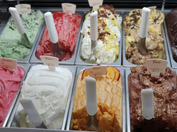 Мороженое для здорового питания с секретным ингредиентом создали в Донском ГАУ